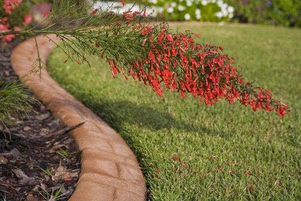 Lawn Curbing