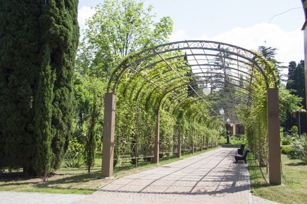 Commercial Landscape Trimming